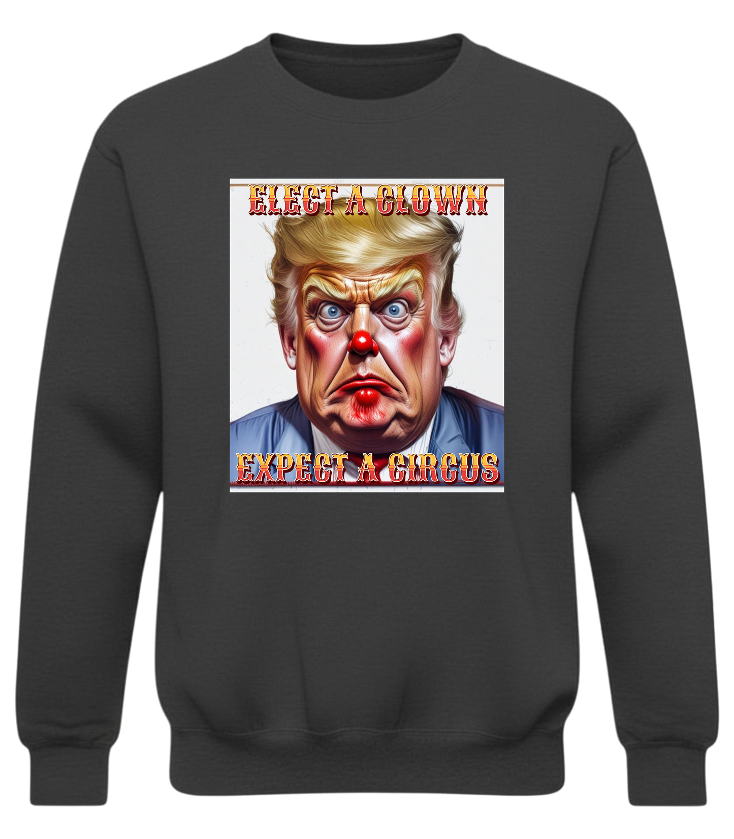 Elect a Clown Expect a Circus Sweatshirt – Political Caricature Statement