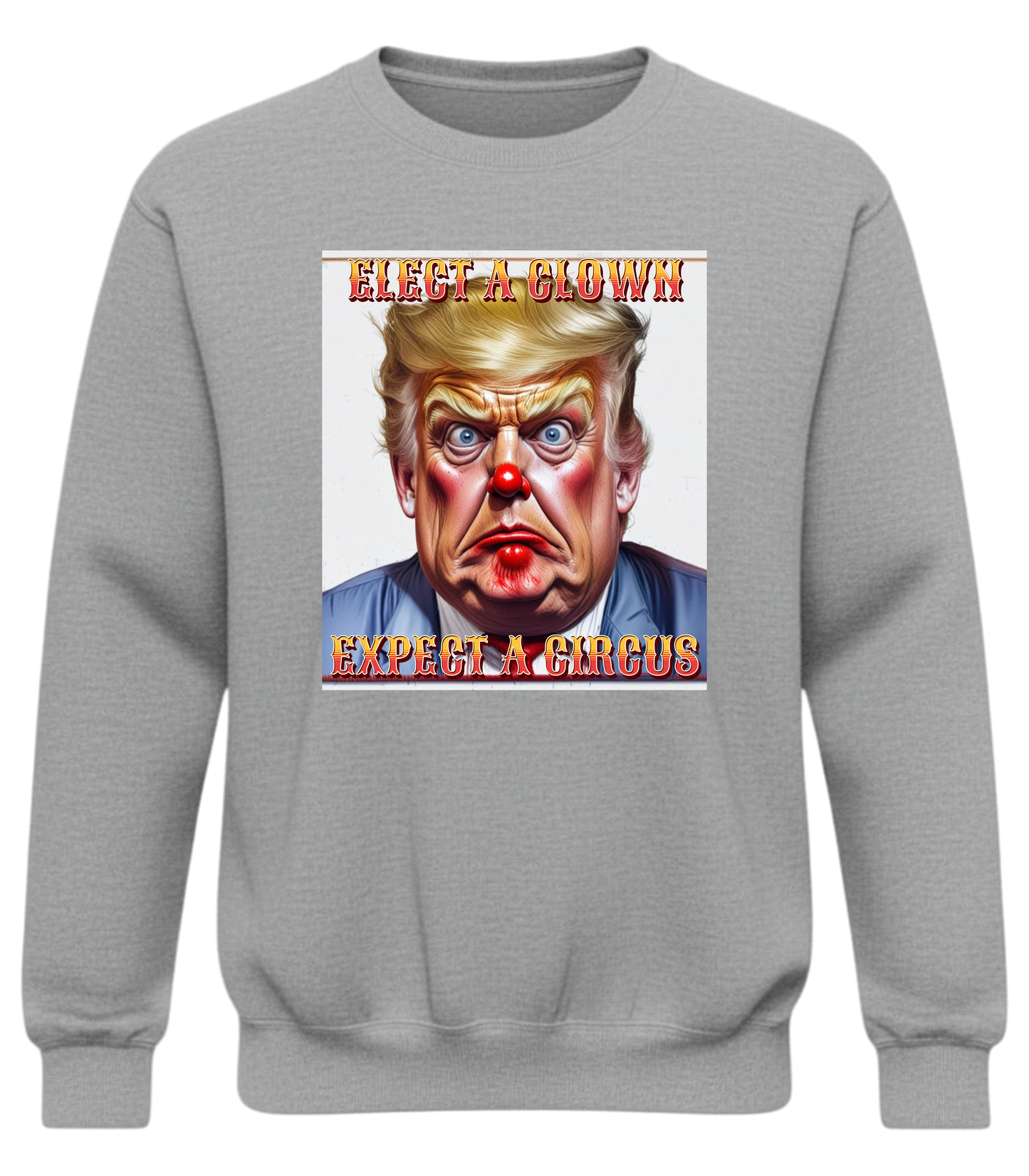 Elect a Clown Expect a Circus Sweatshirt – Political Caricature Statement