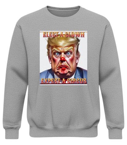 Elect a Clown Expect a Circus Sweatshirt – Political Caricature Statement