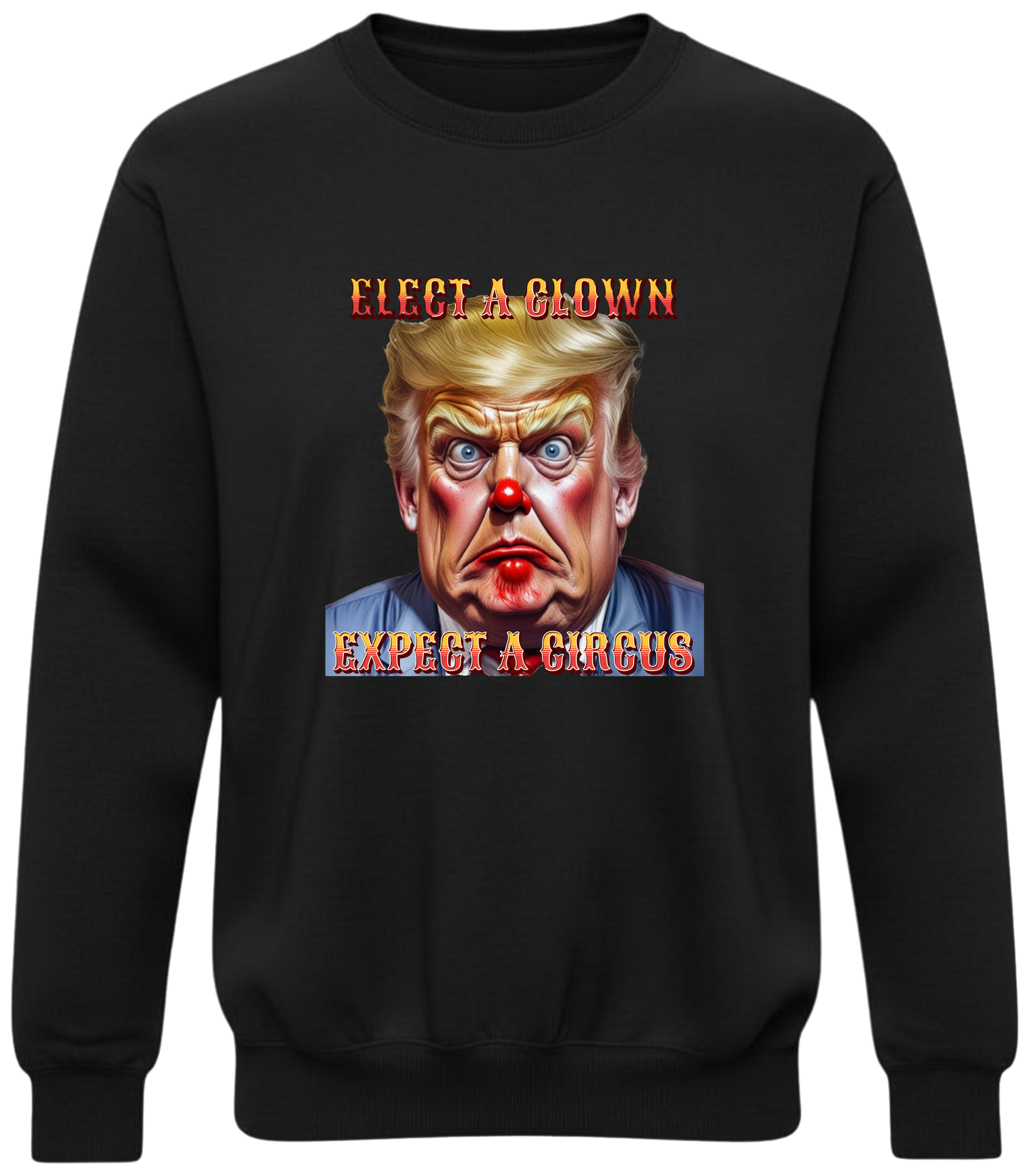 Elect a Clown Expect a Circus Sweatshirt – Political Caricature Statement