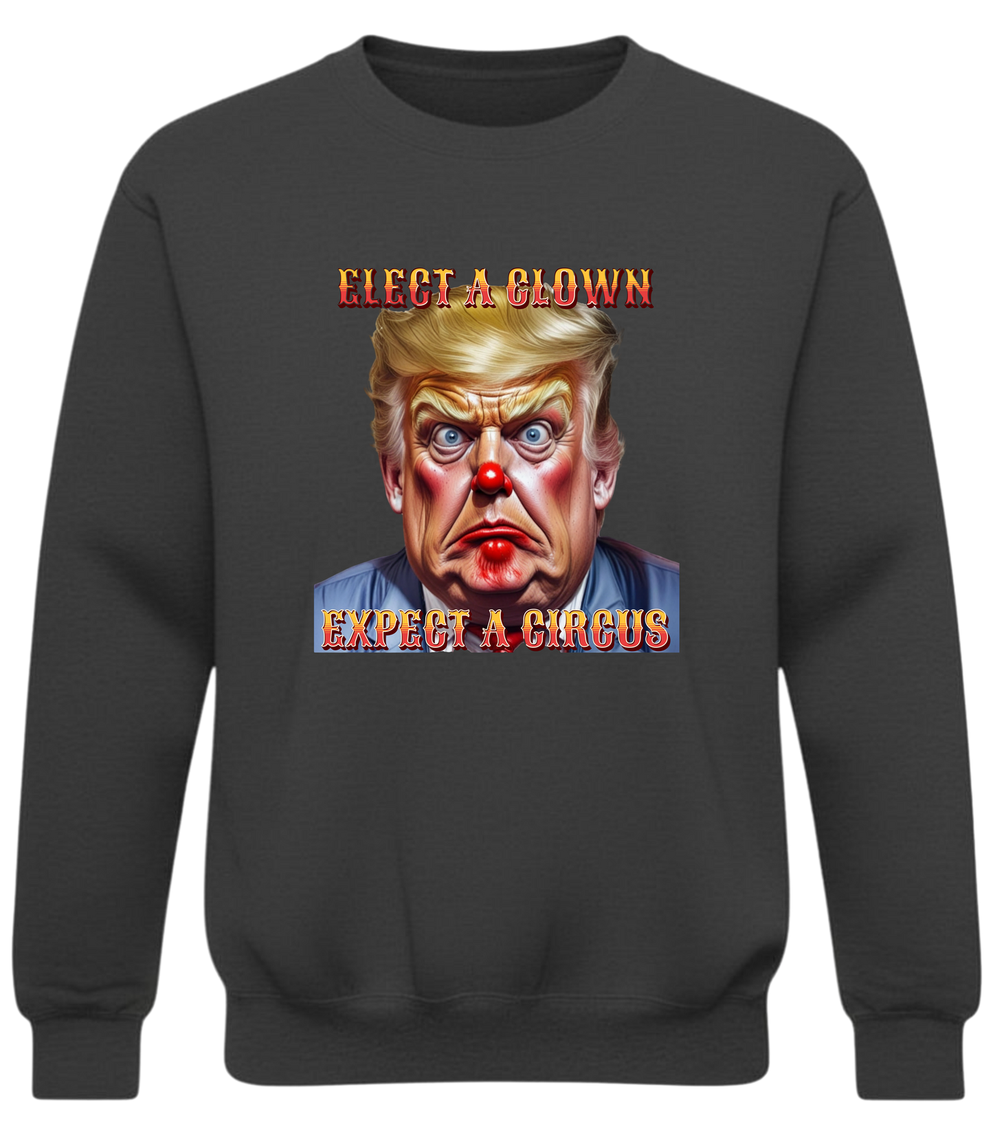 Elect a Clown Expect a Circus Sweatshirt – Political Caricature Statement