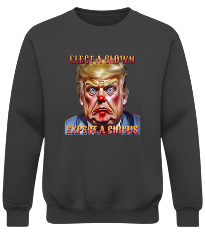 Elect a Clown Expect a Circus Sweatshirt – Political Caricature Statement